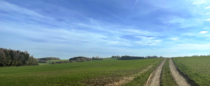 hochsensibel und sport